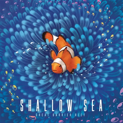 Picture of 'Shallow Sea'